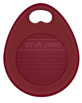 Badge Visa 2000